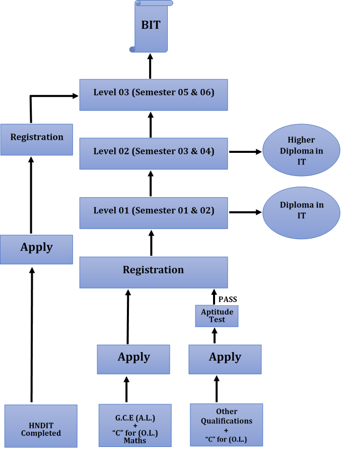 Course Structure